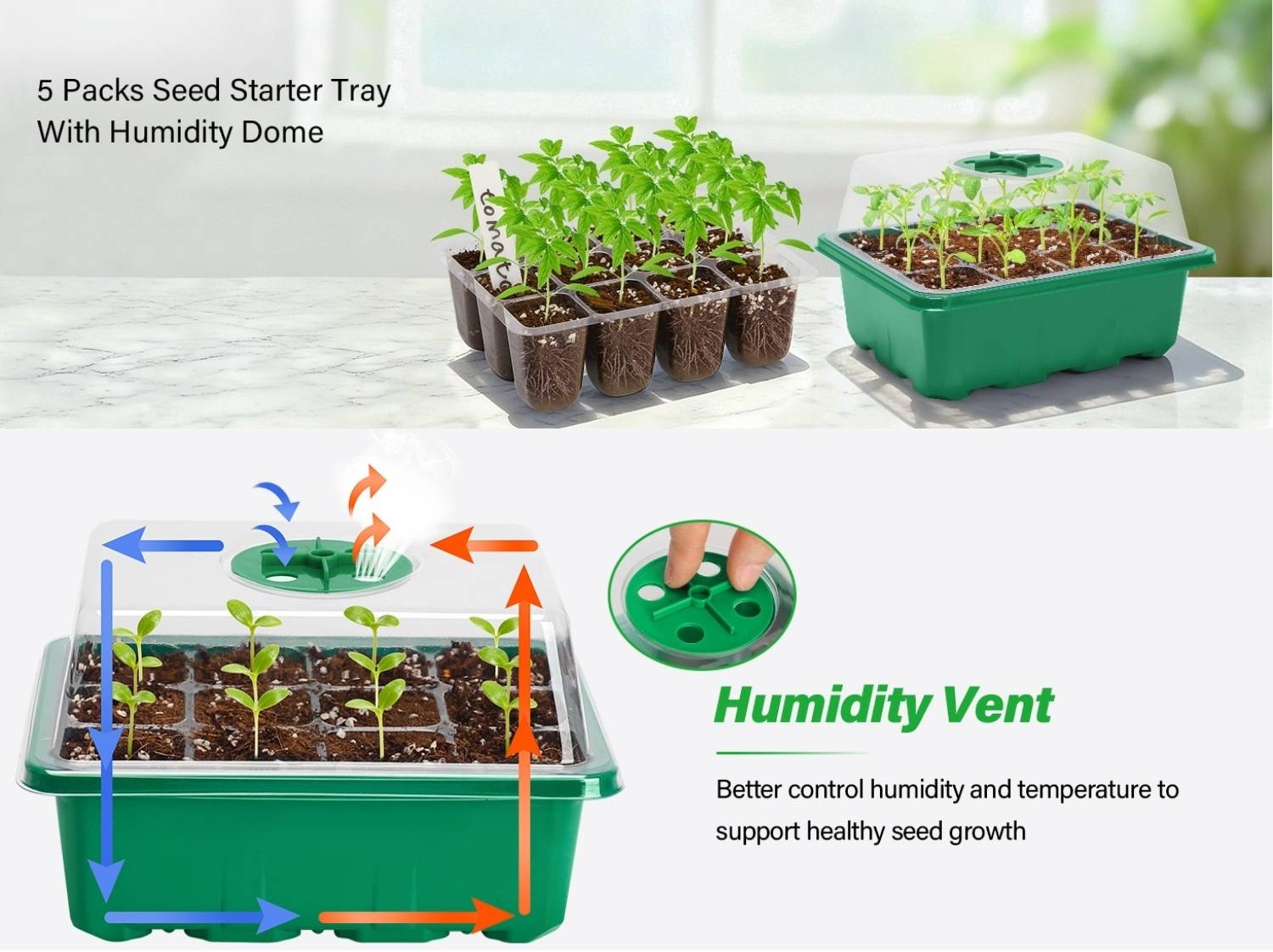 Seed starting trays filled with young seedlings