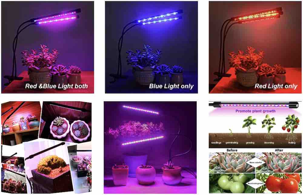 A clip-on LED grow lamp lighting an indoor plant