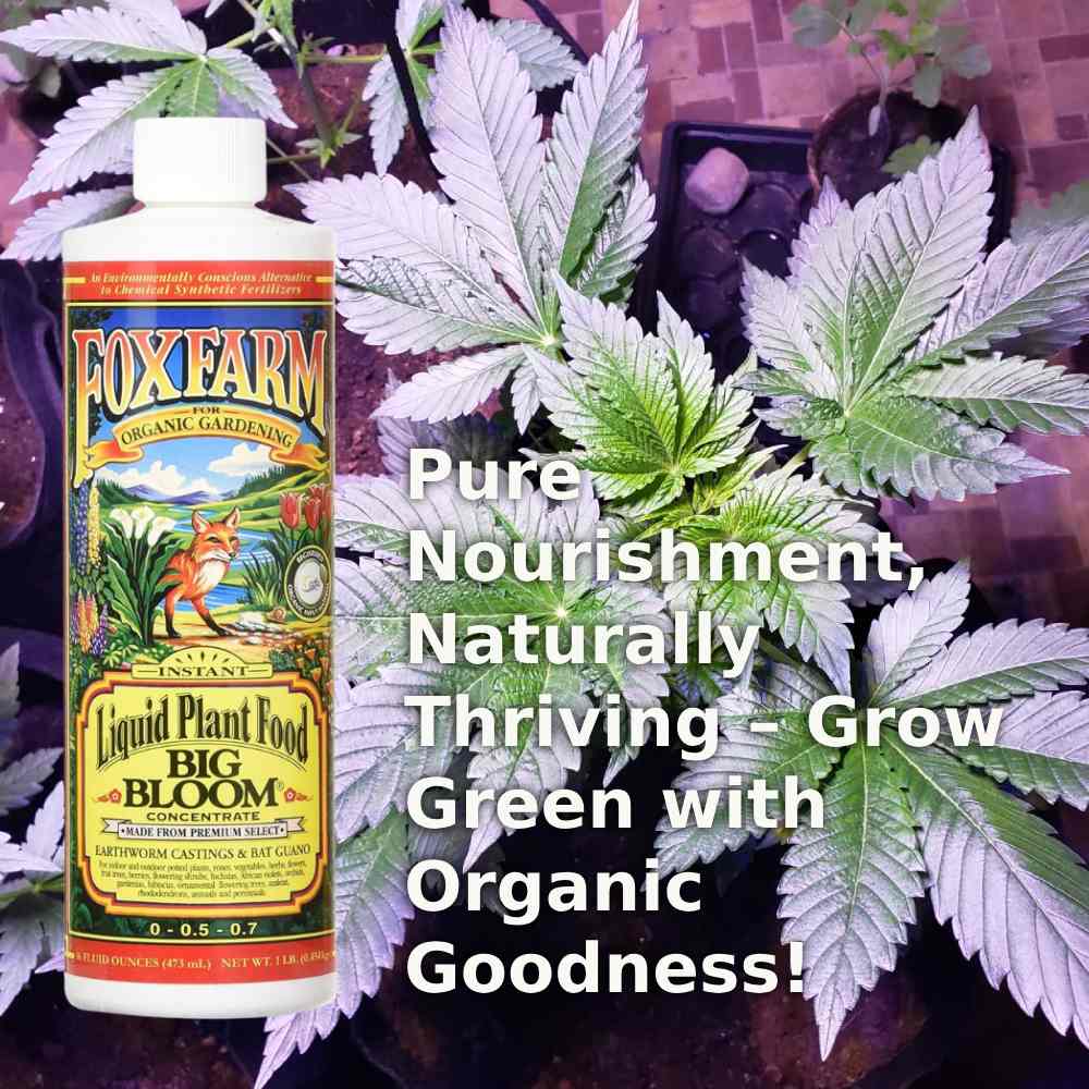 Liquid Plant Food for Hydroponics