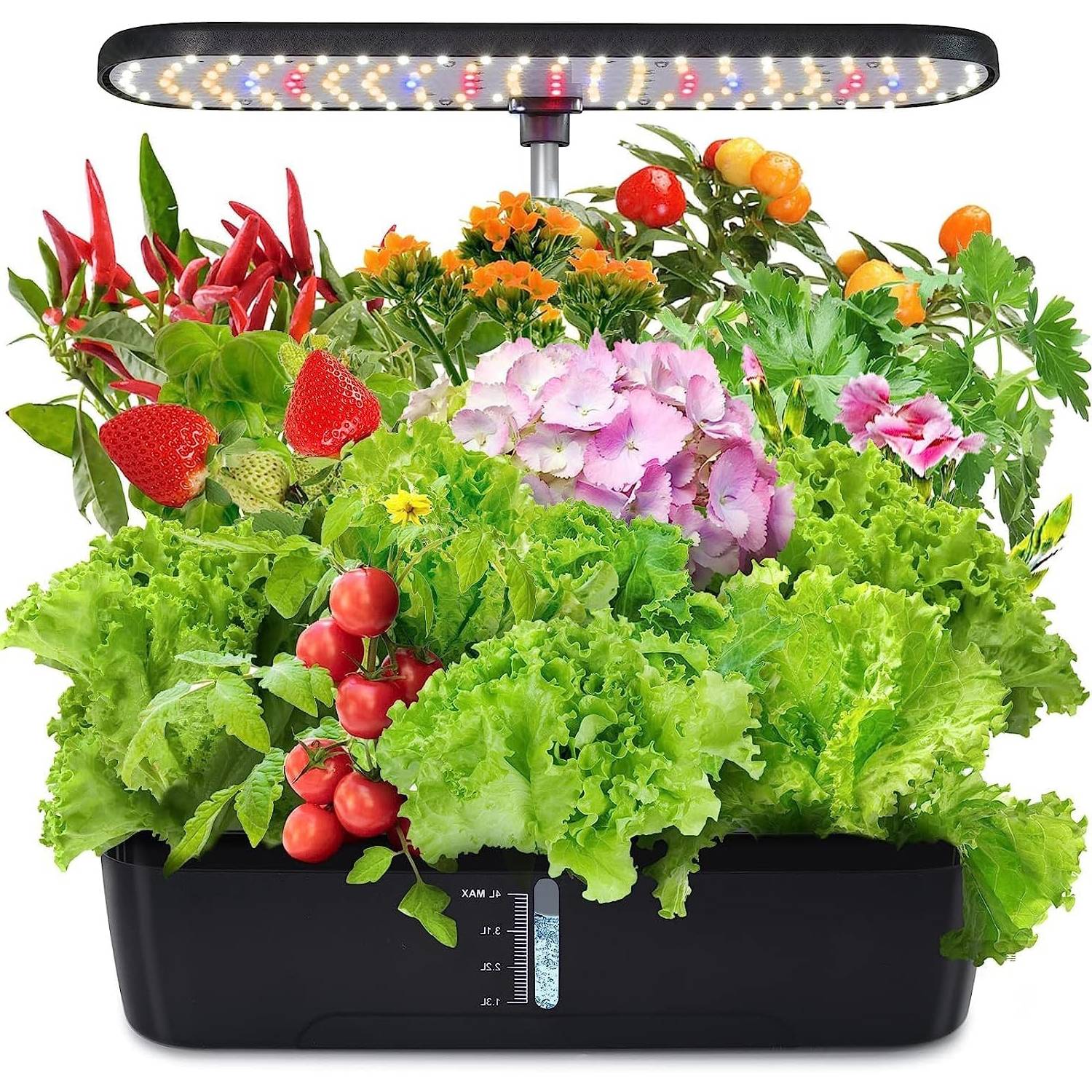 Indoor Herb Garden Kit: image 6