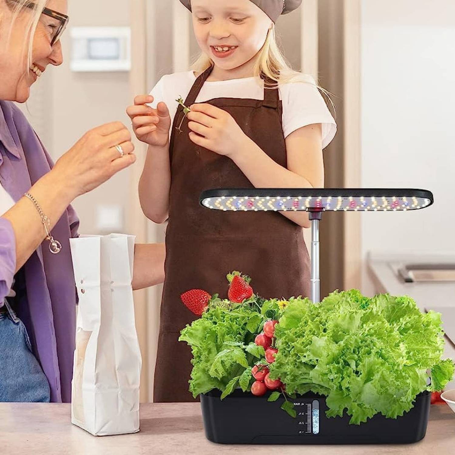Indoor Herb Garden Kit