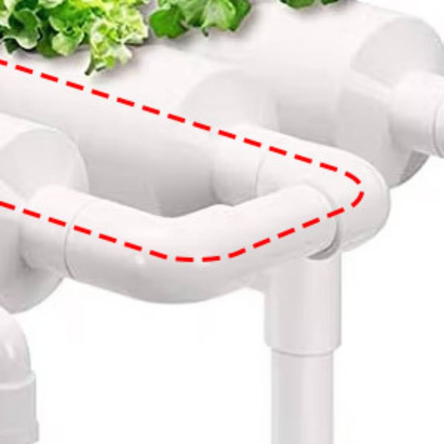 Hydroponics Growing System: image 7