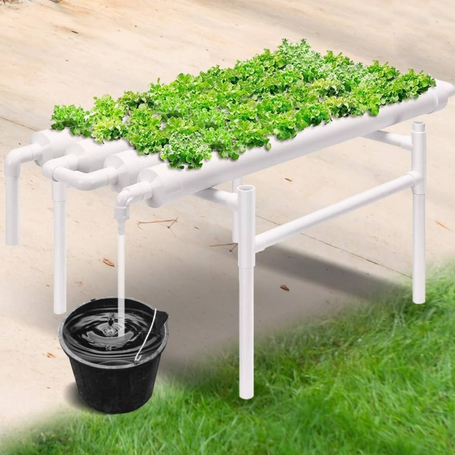 Hydroponics Growing System