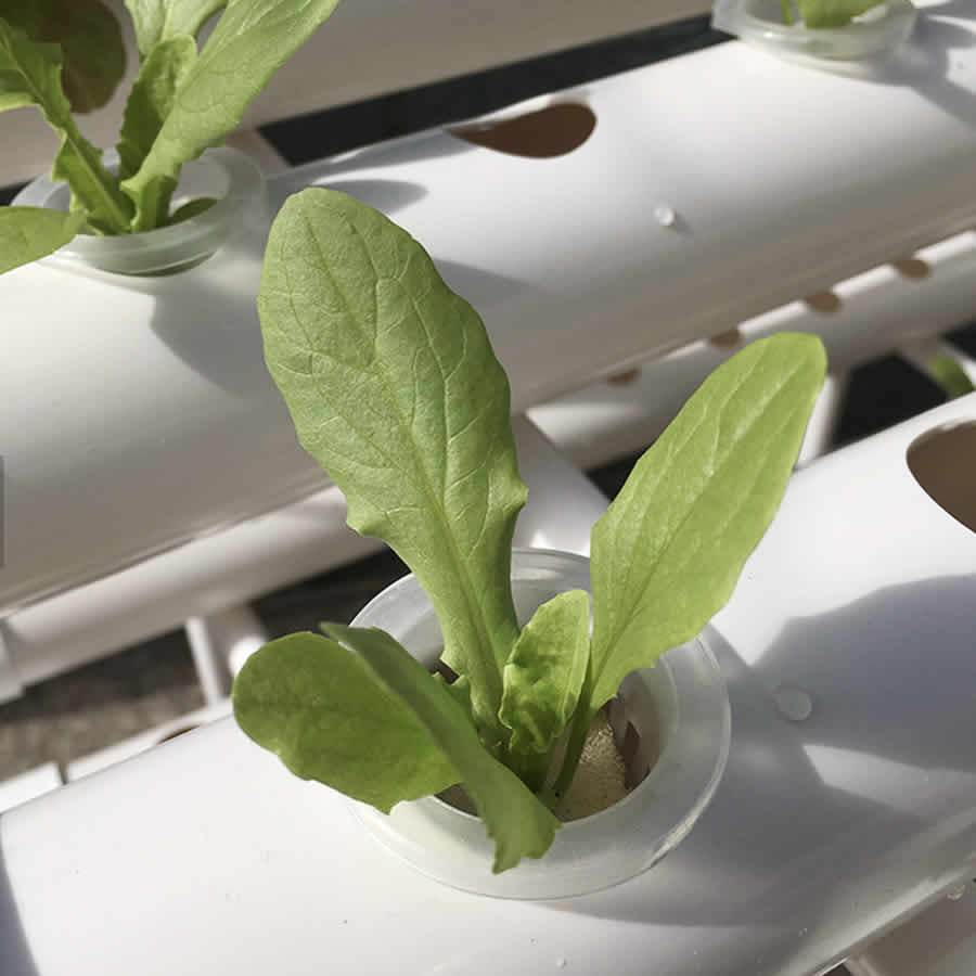 36 Cup NFT Hydroponic Kit: image 2