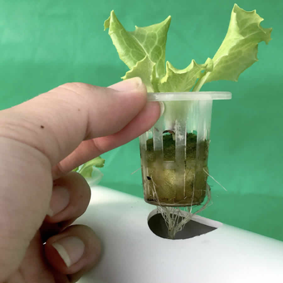 36 Cup NFT Hydroponic Kit: image 3