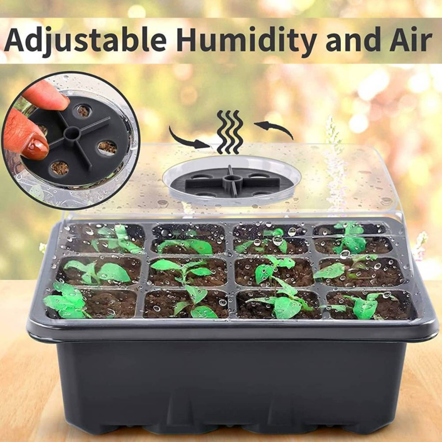 Self Watering Seed Starter Trays: image 6