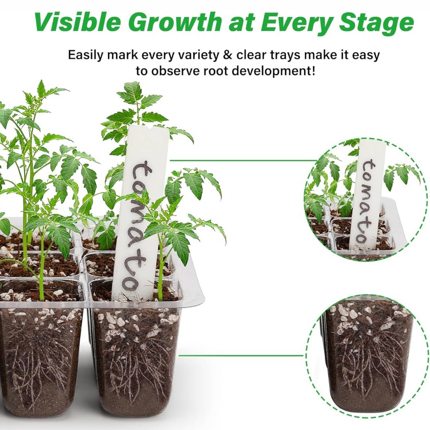 Self Watering Seed Starter Trays: image 9