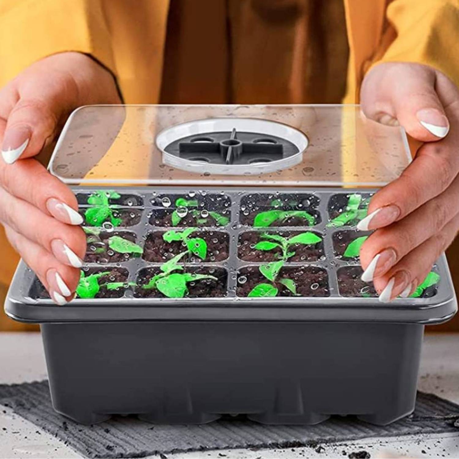 Self Watering Seed Starter Trays: image 12