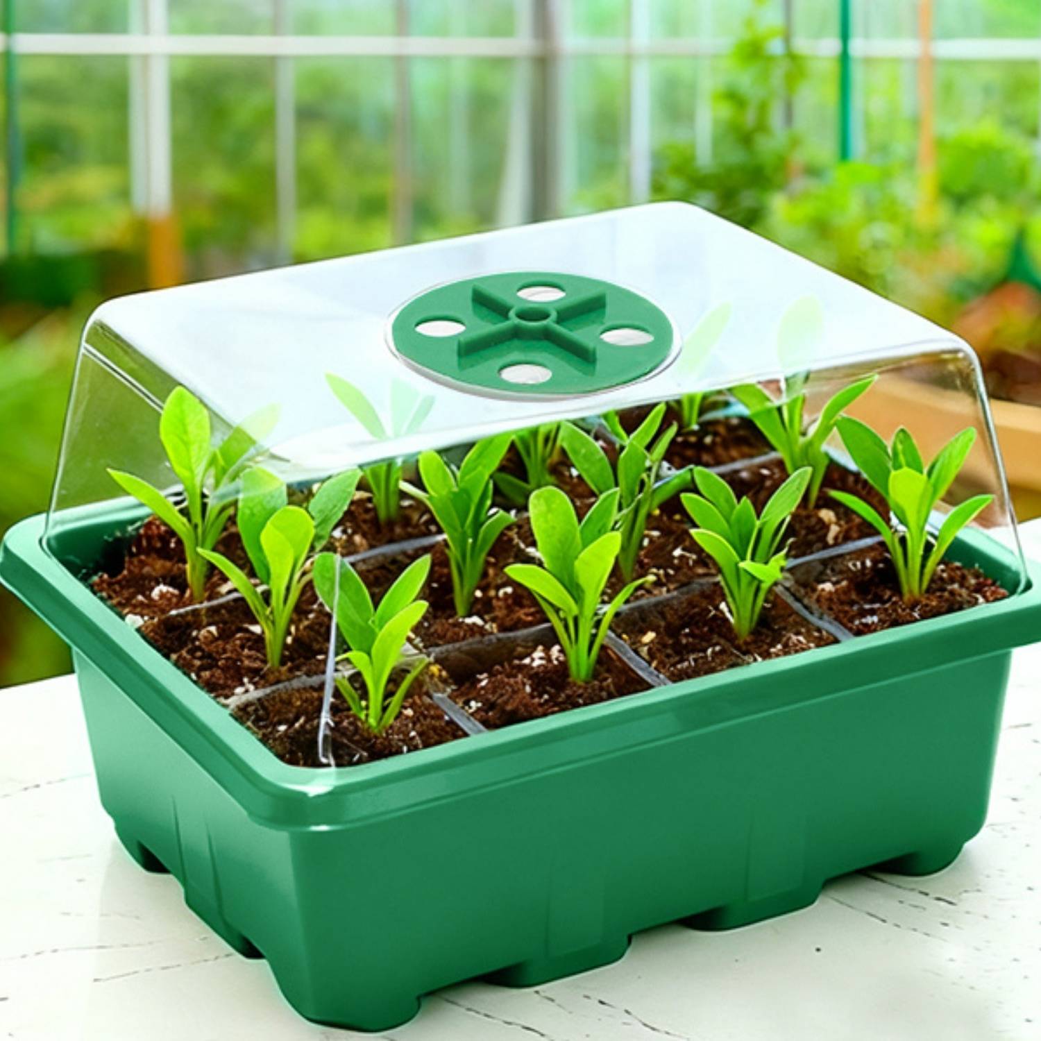 Self Watering Seed Starter Trays