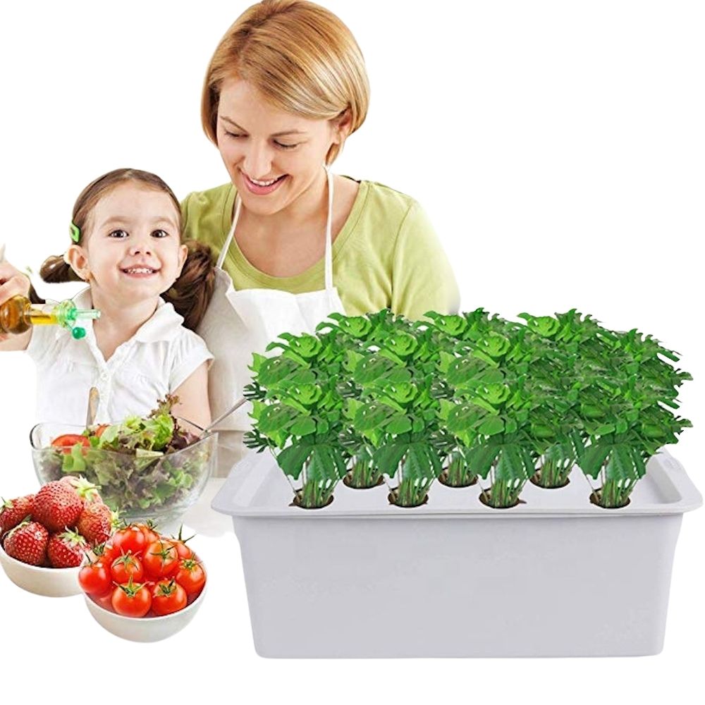 Deep Water Culture Hydroponic System