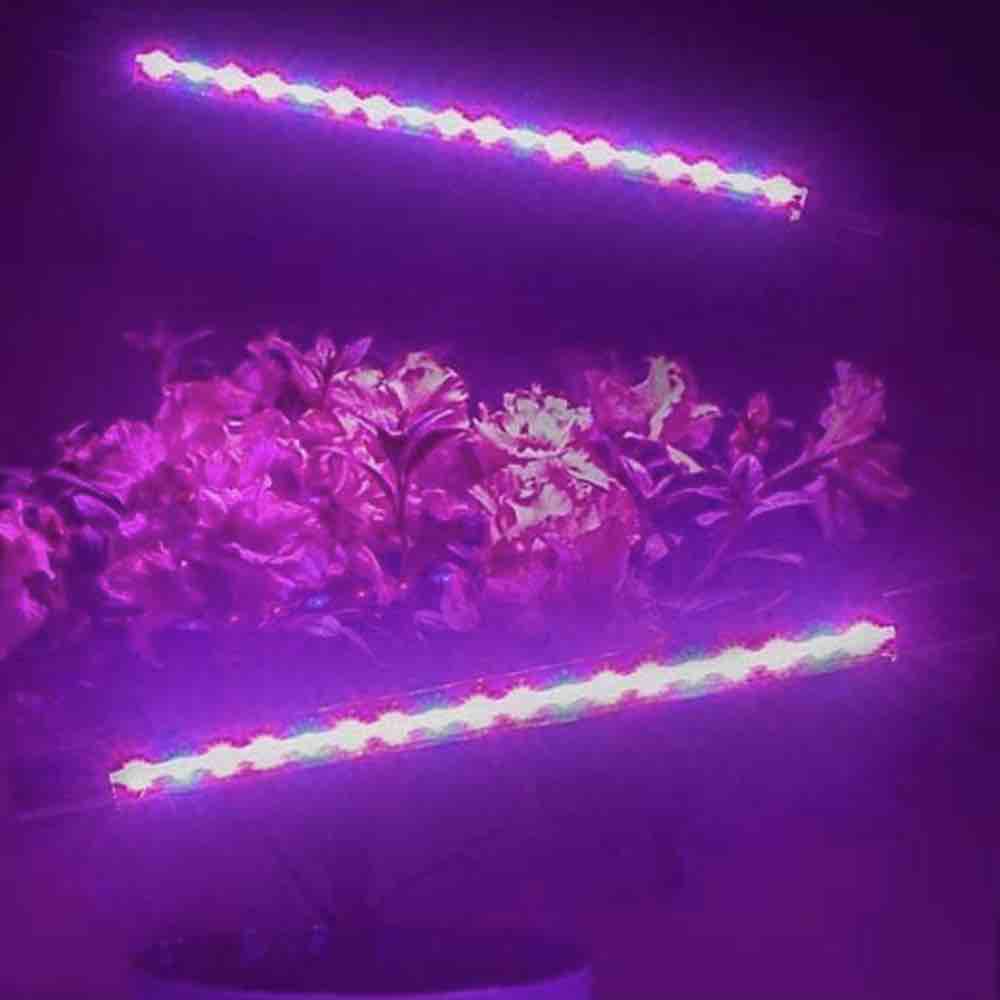 LED Grow Light