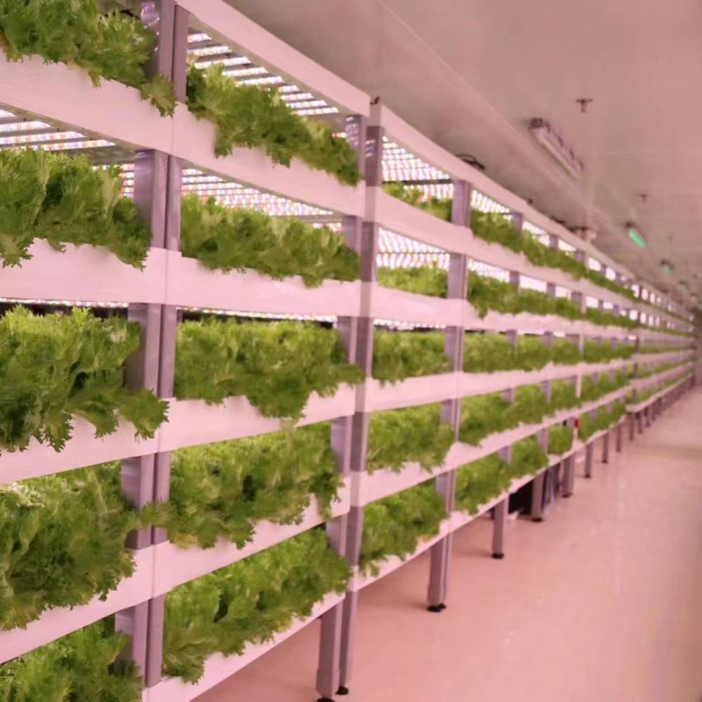 LED Grow Light Strips
