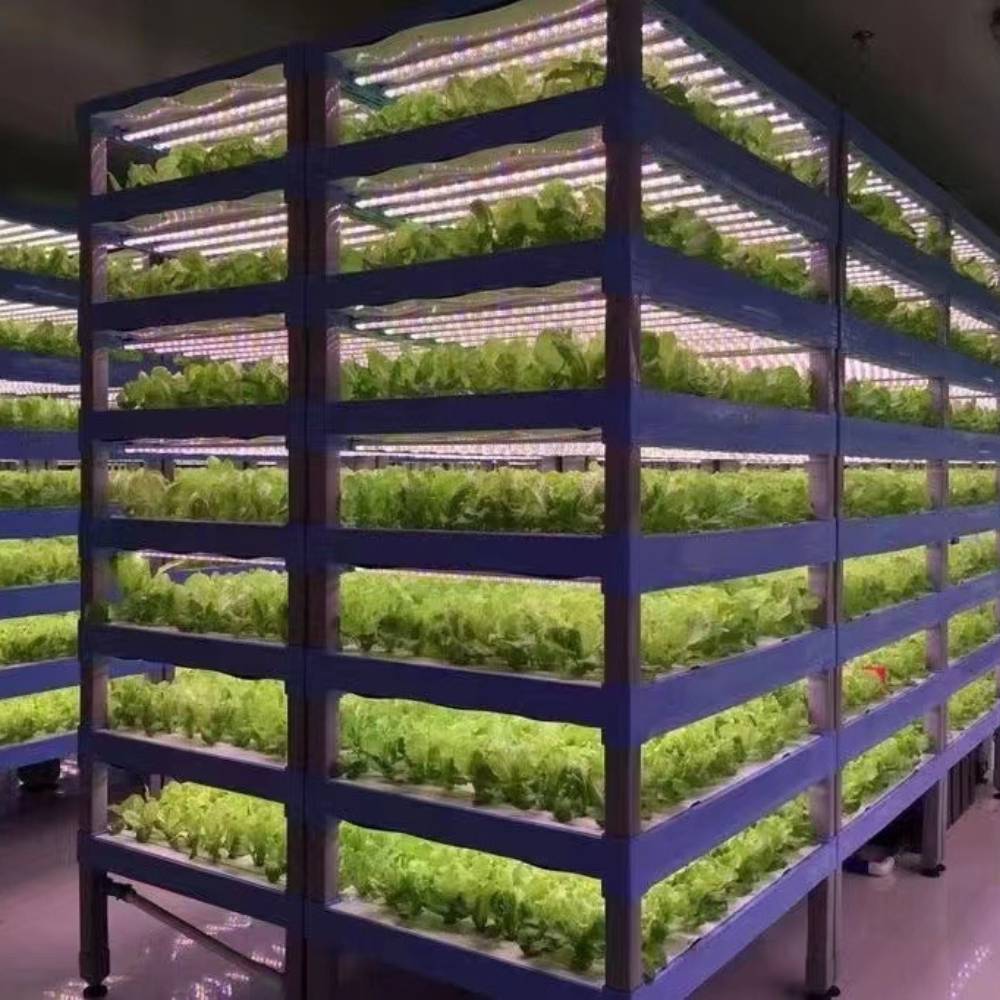 LED Grow Light Strips: image 5