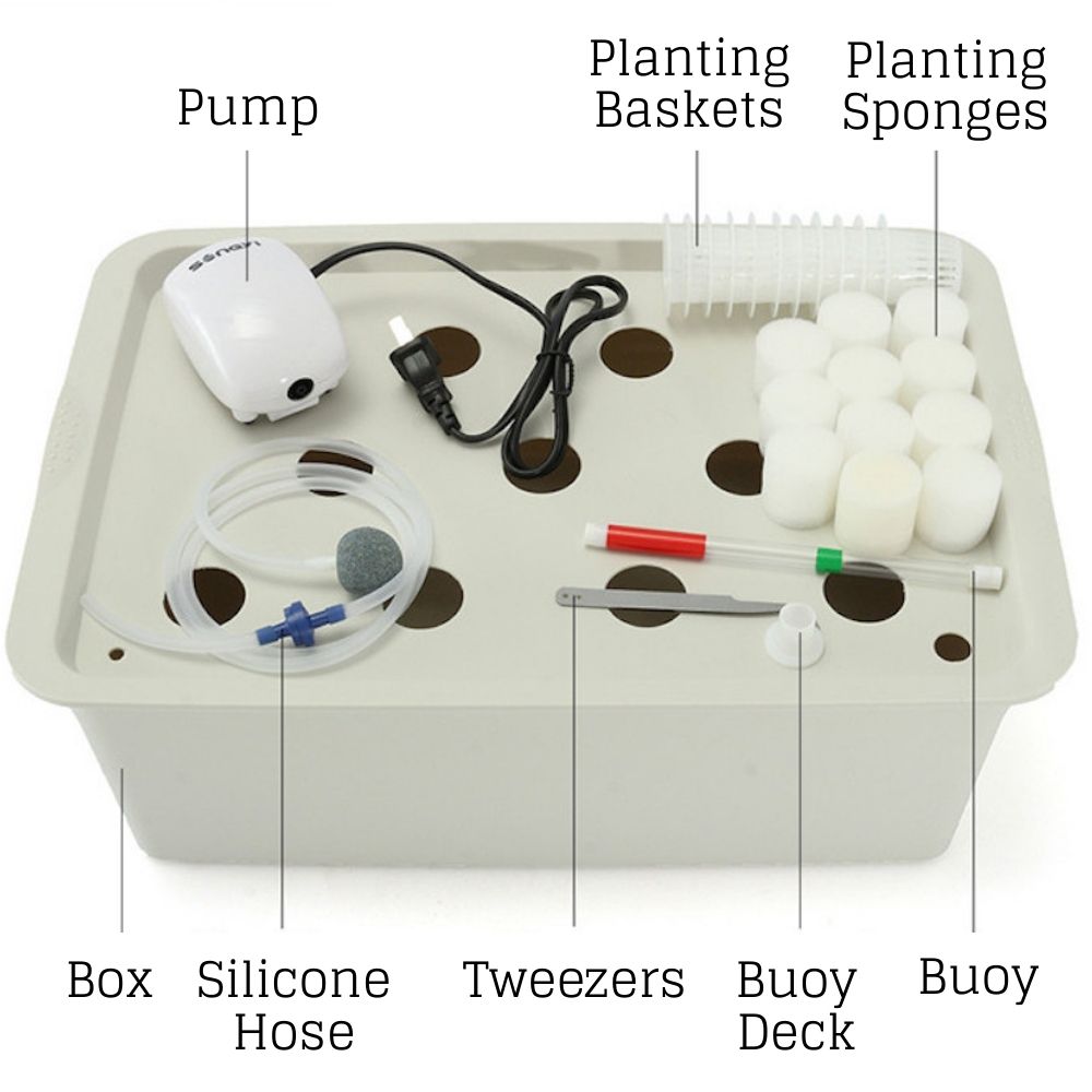 Home Hydroponic System