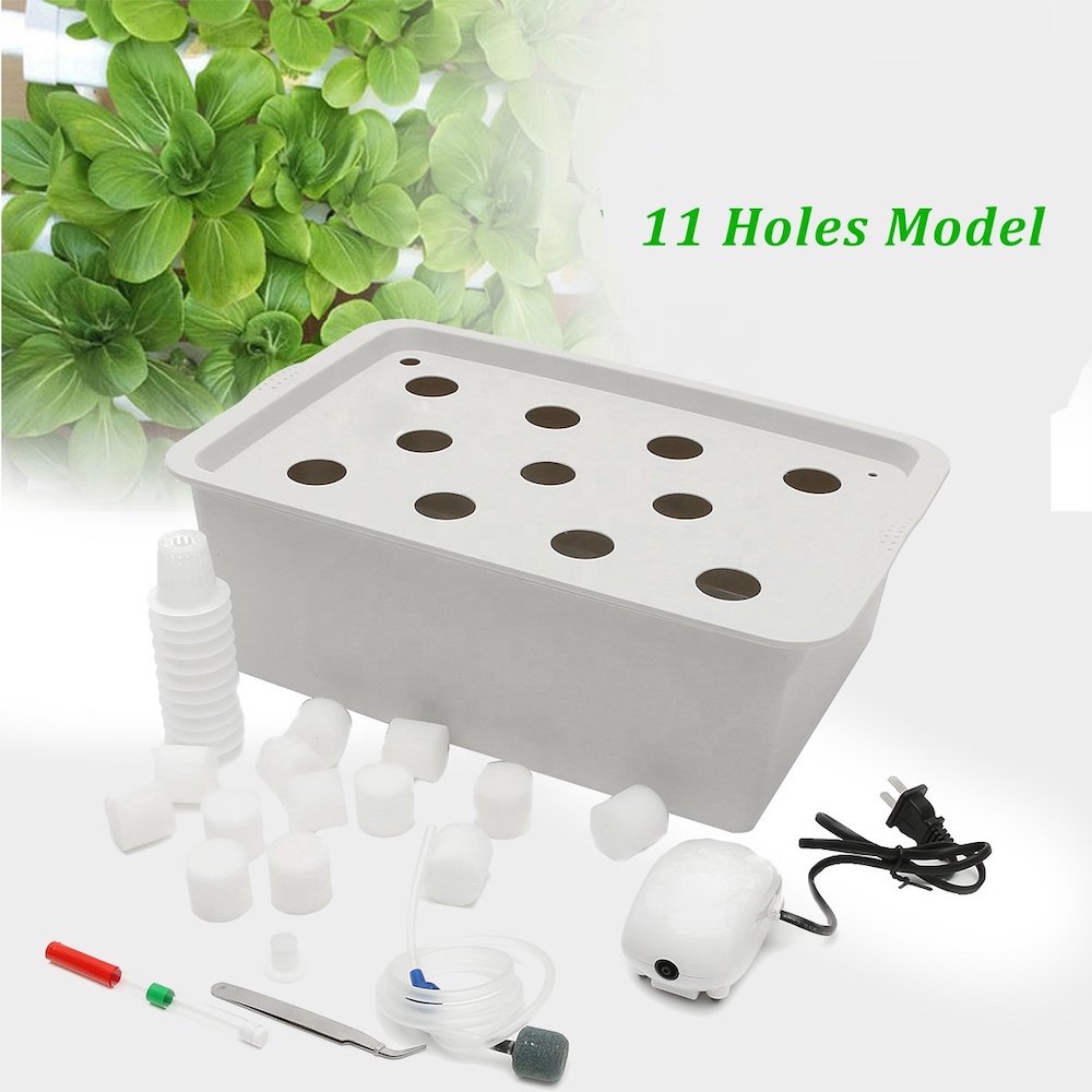Home Hydroponic System