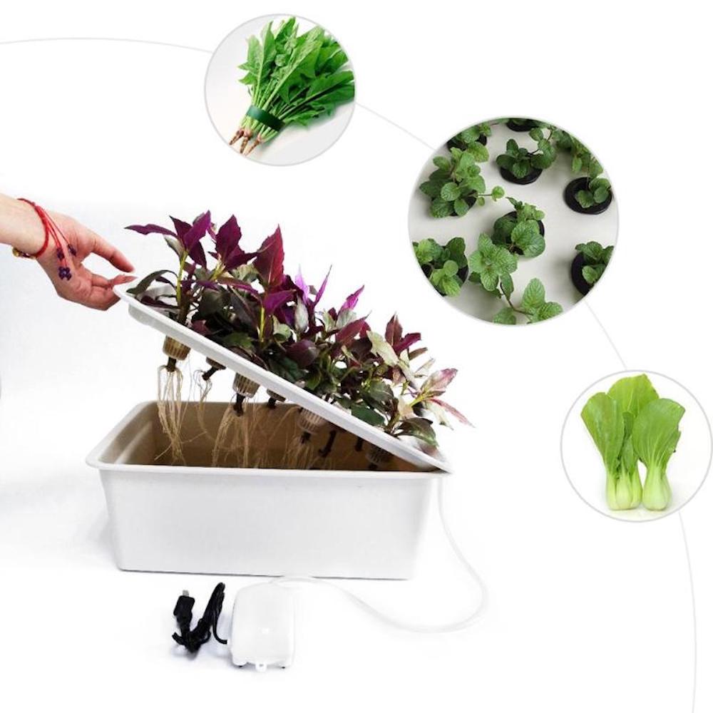 Home Hydroponic System
