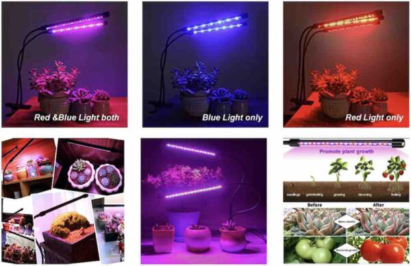 buy hydroponics lighting online