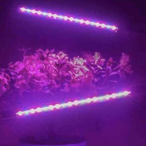hydroponic grow lights buy online